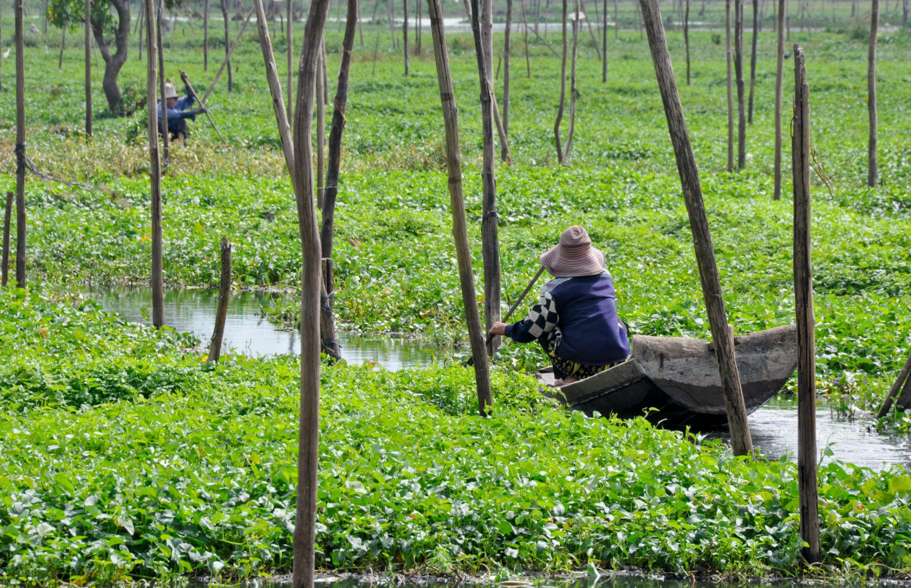 Boeung Kak Lake, Cambodia